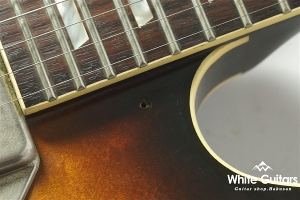 Aria Pro II CA-100-S SB